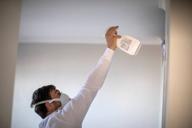 Best Insurance-Related Mold Remediation in Maury, NC